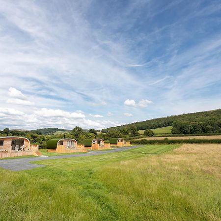 Low Longlands Cartmel Exteriör bild